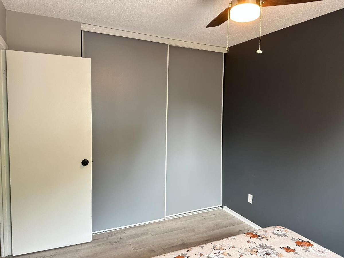 Castlerooms Homestay Ottawa Kültér fotó
