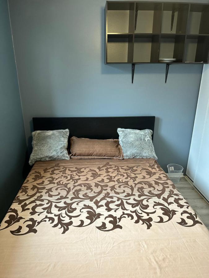 Castlerooms Homestay Ottawa Kültér fotó